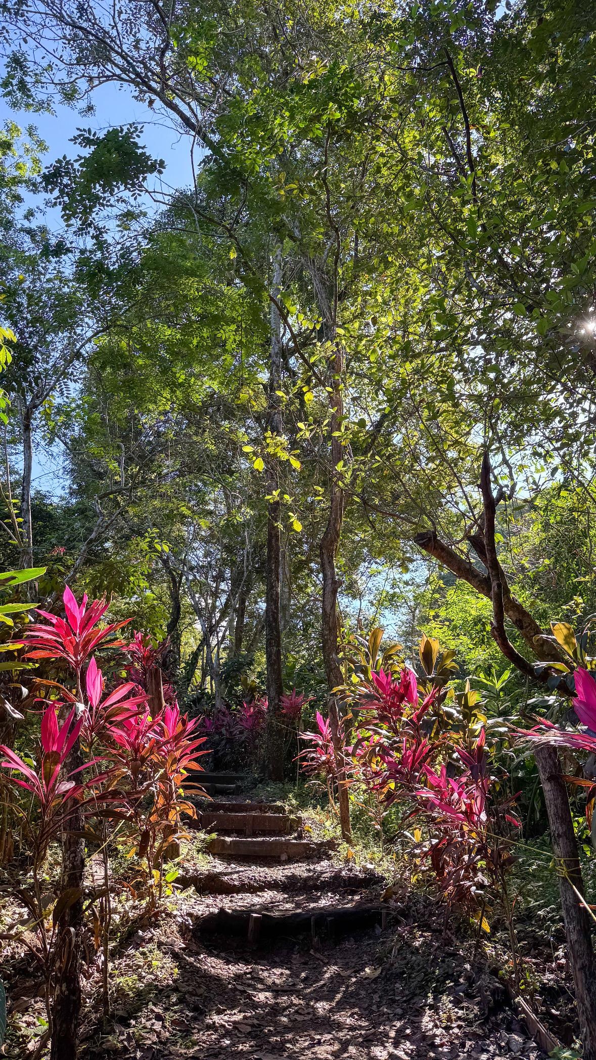 Steps to beach accessible 