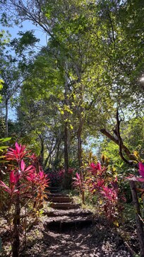 Steps to beach accessible