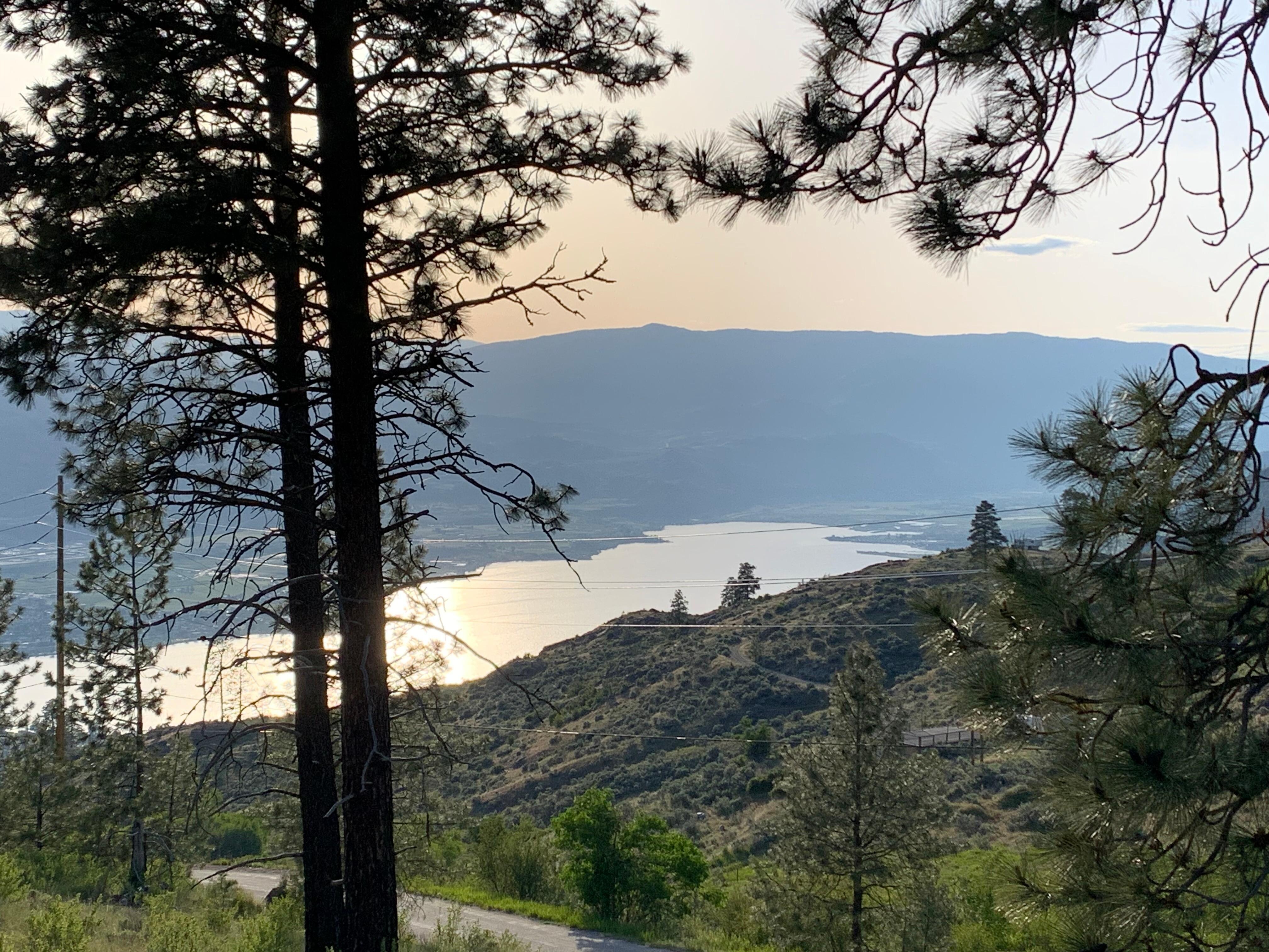 Evening walk