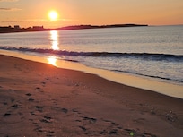 Gorgeous sunrise walk with the dogs- had the beach to ourselves