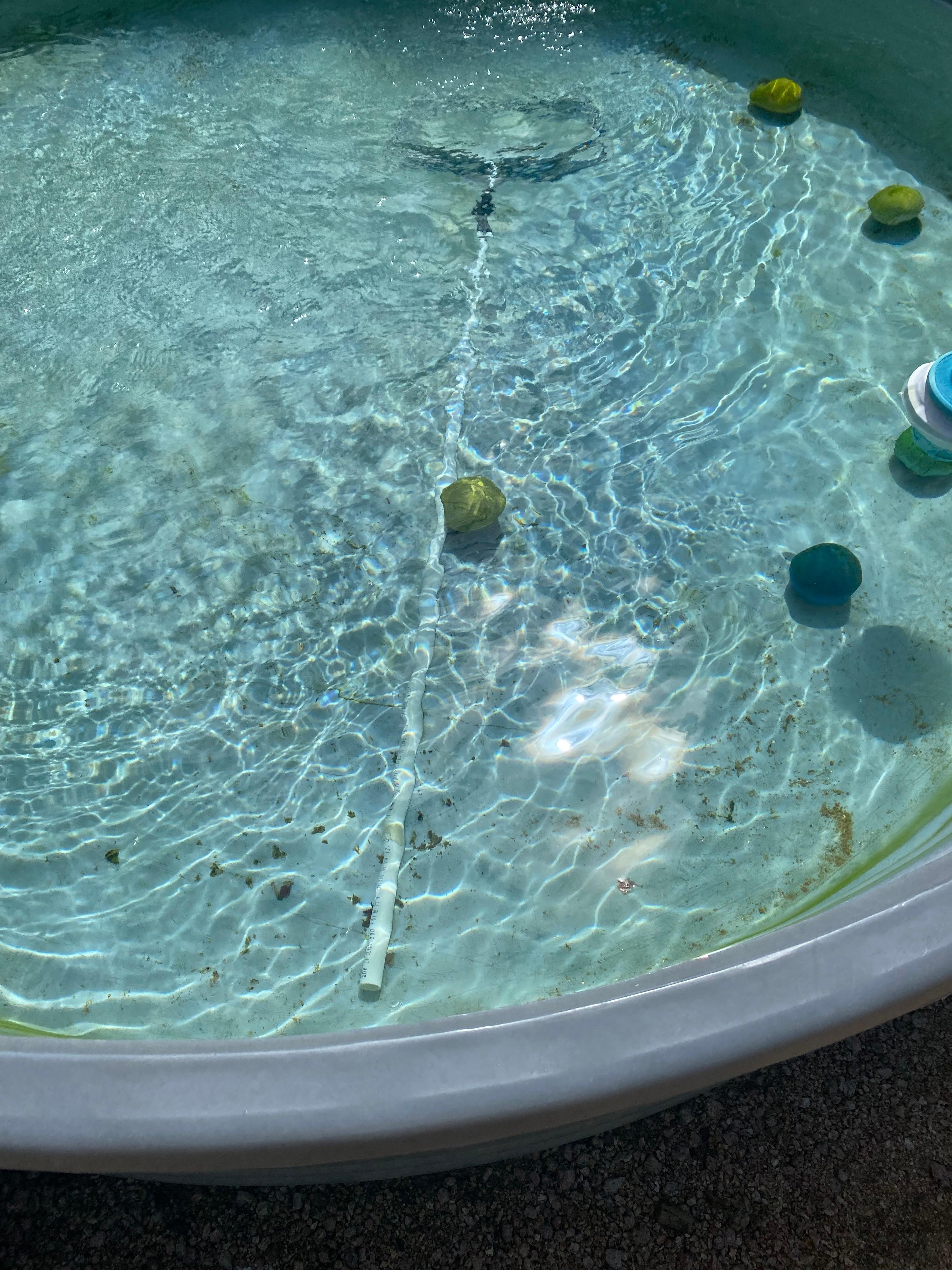 The cleaning crew left the tools to clean the pool.  But did not clean it