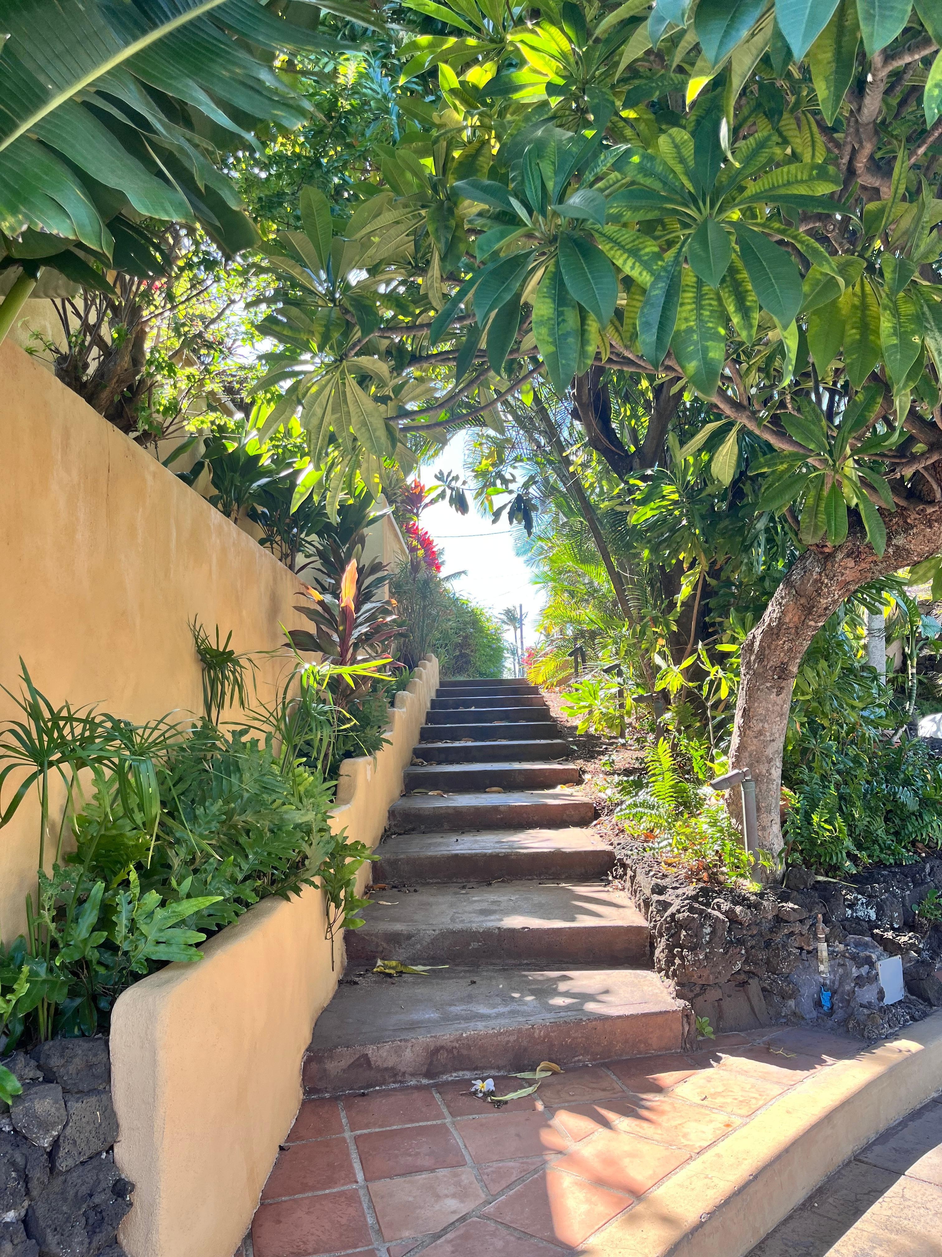 Cute stairs on your way to beach.
