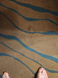 Another area of carpet stains.