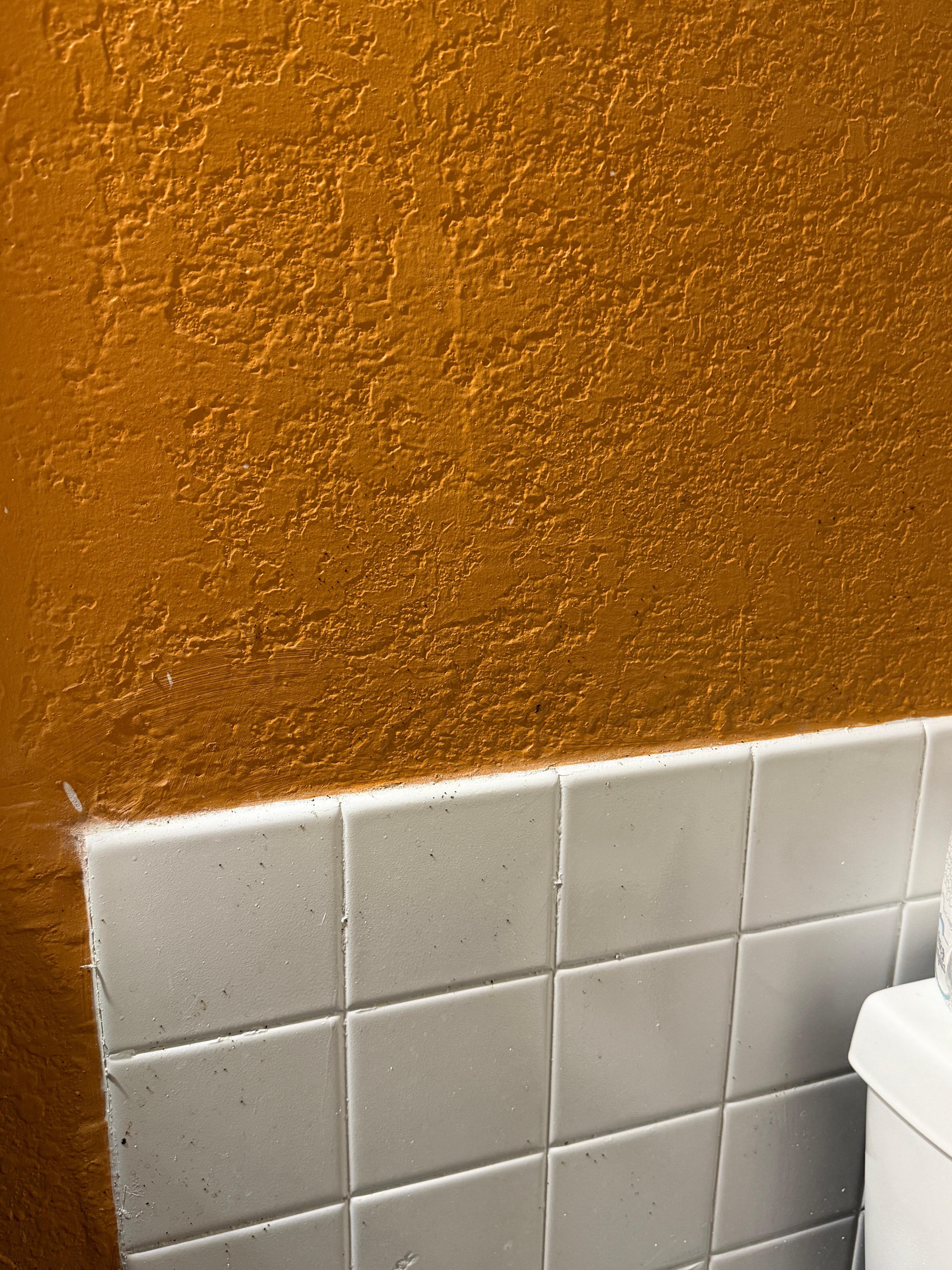 Bathroom wall. Dead bugs and filth. 