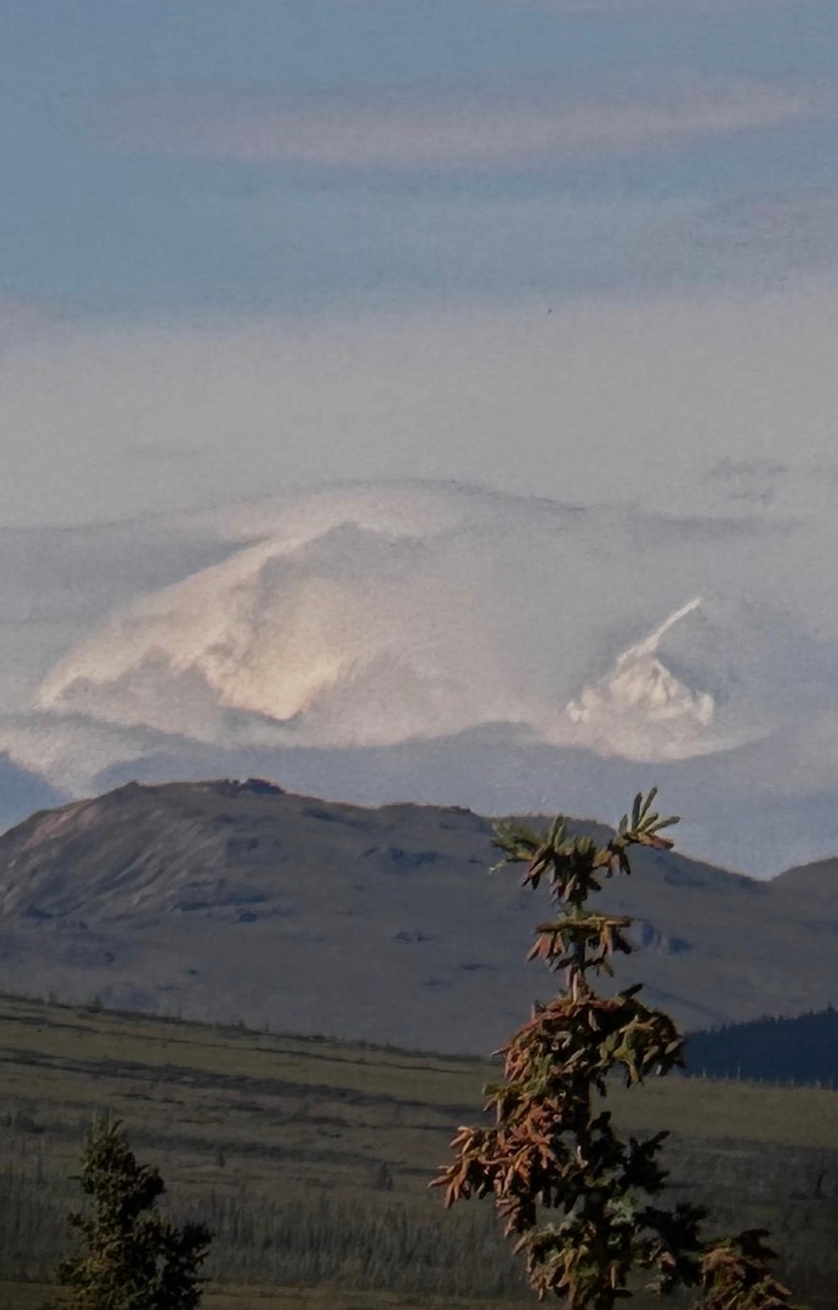 Denali view from 4 miles up the road 