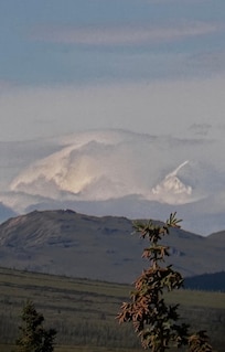 Denali view from 4 miles up the road