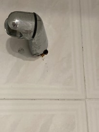 support de douche cassé