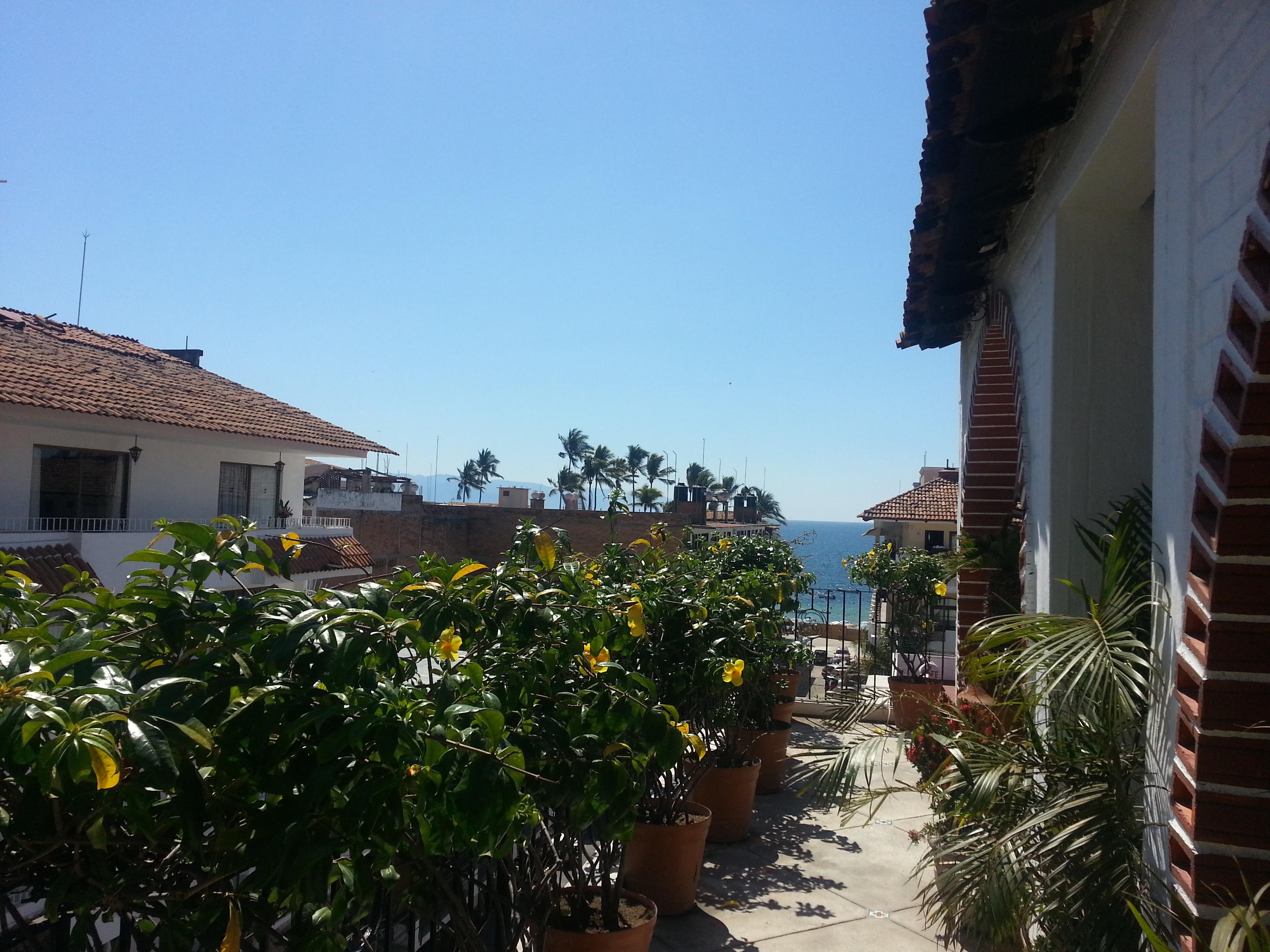 A view from the roof deck