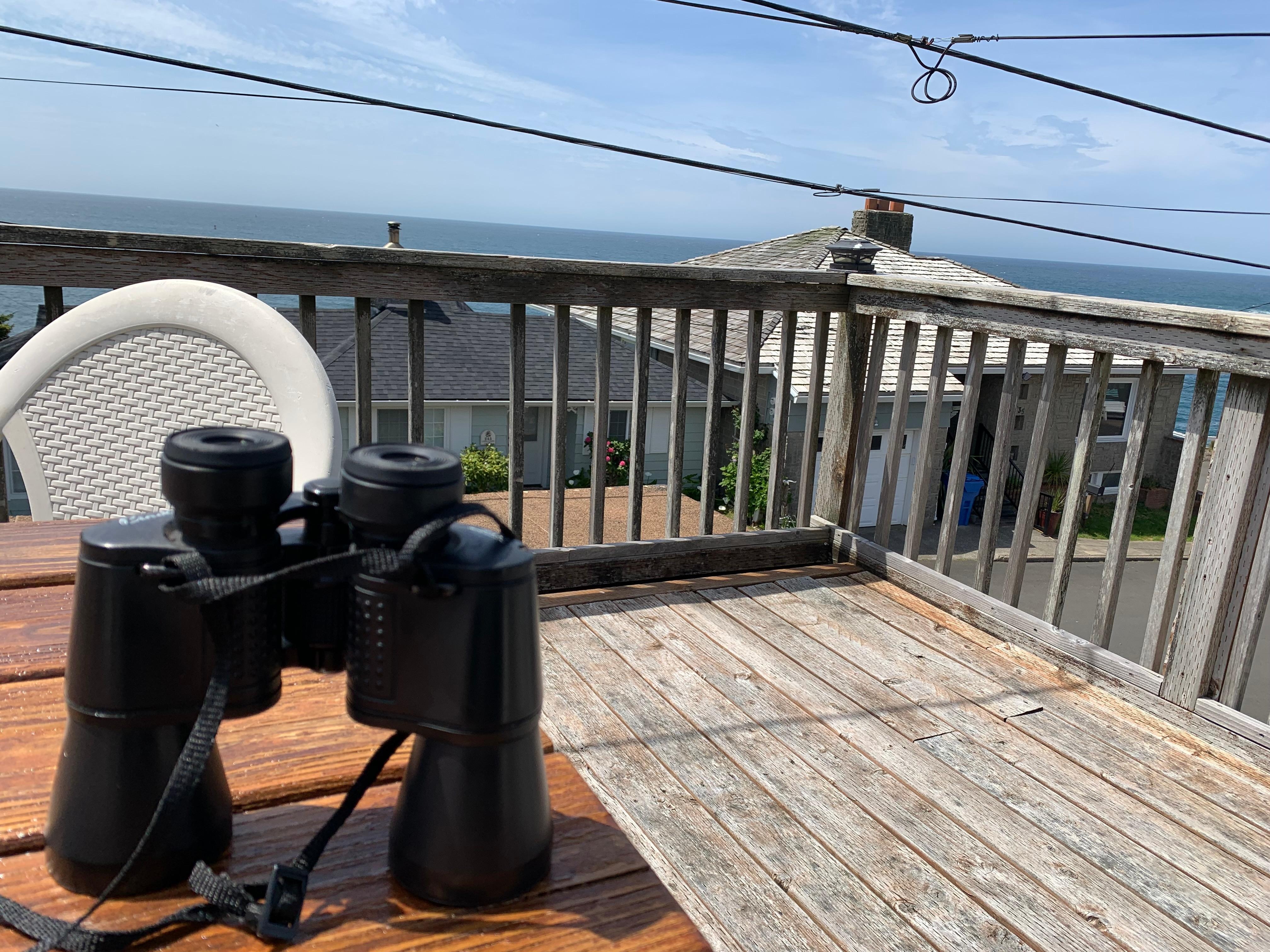 Viewing deck- we saw so many whales, and the harbor entrance with boats coming and going