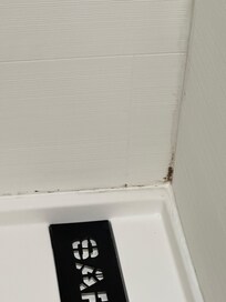 Mold
