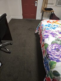 Pet stains all over carpet and uneven floors