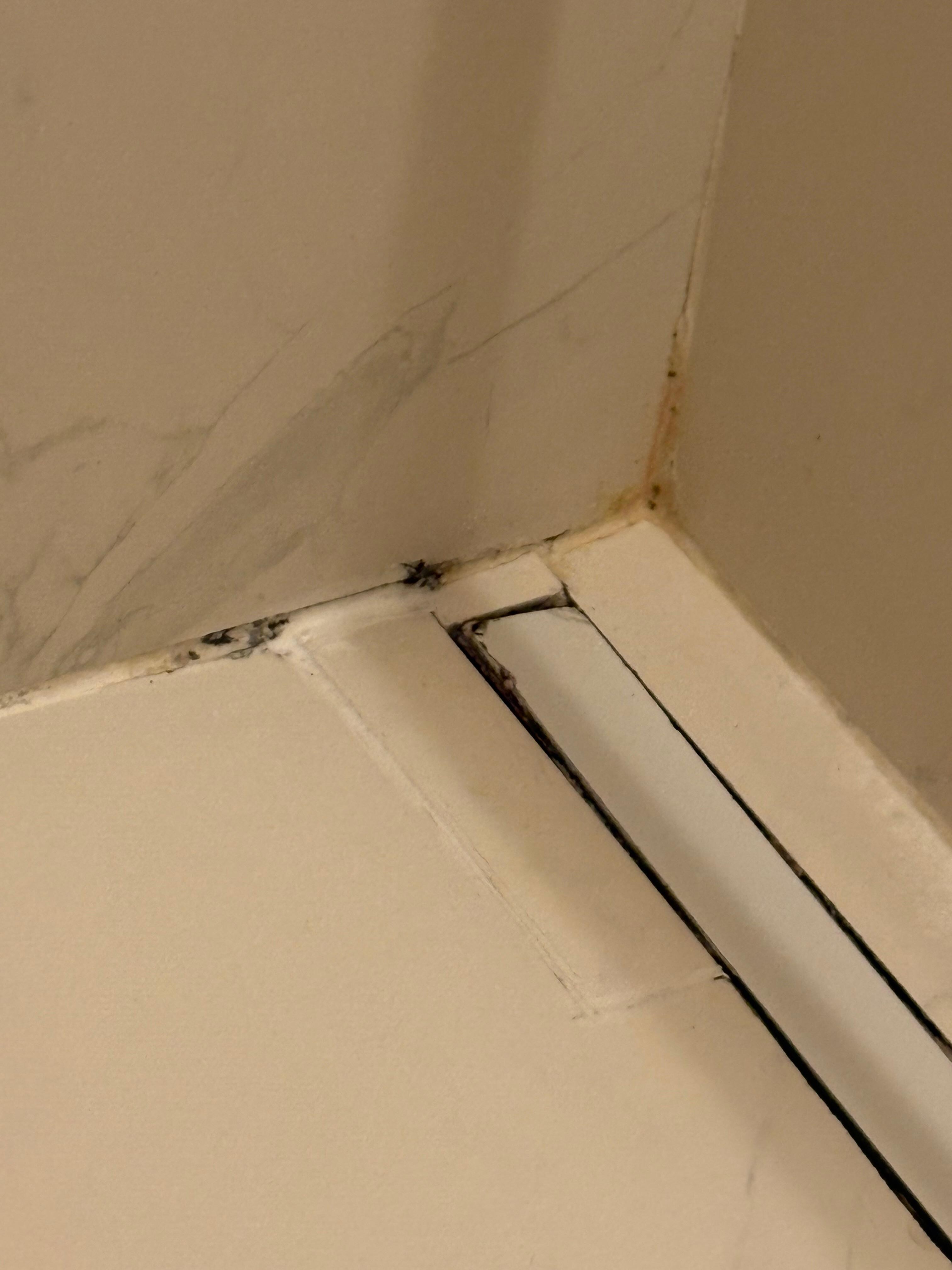 Black mold in shower 