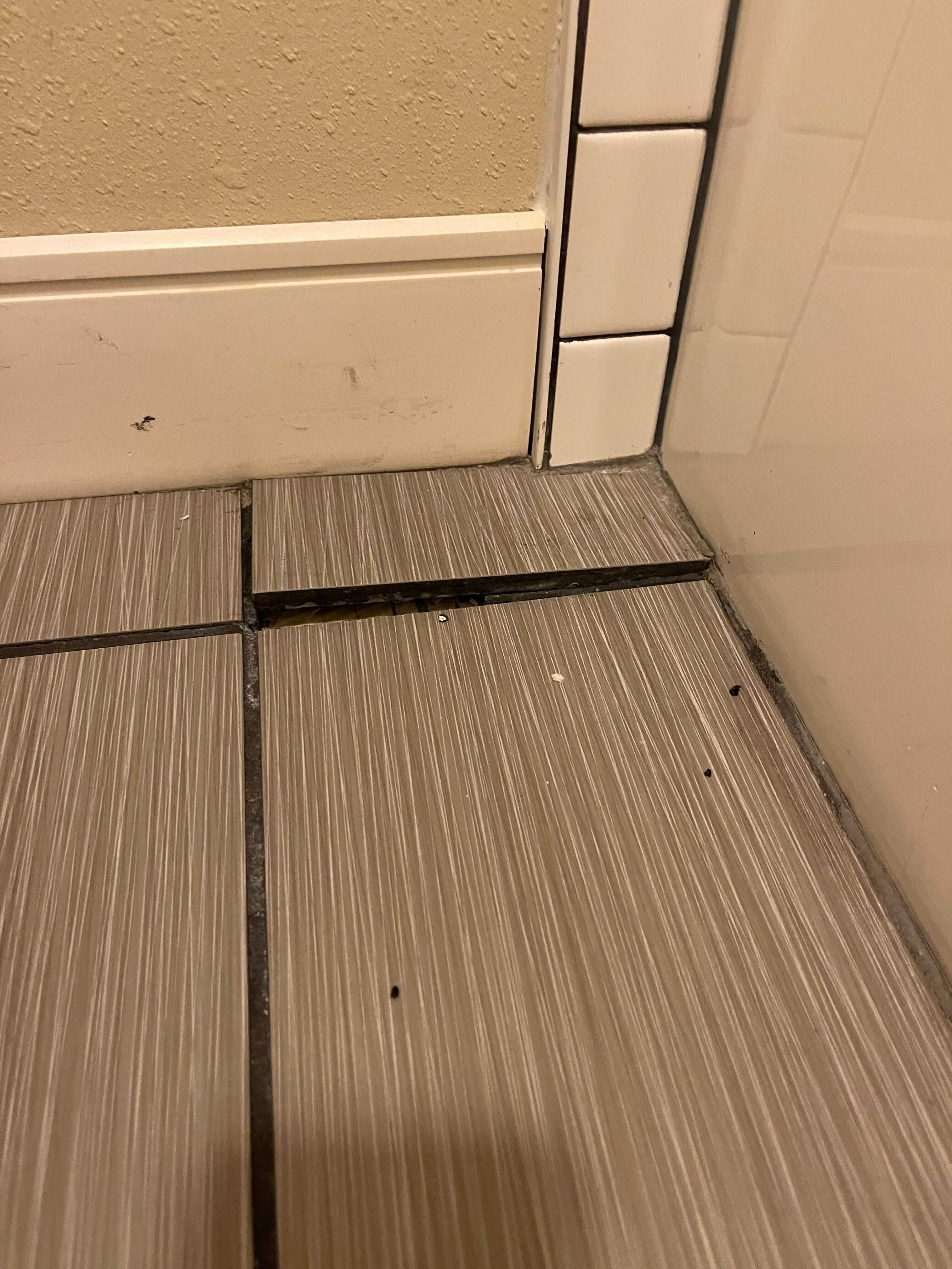 Tile flooring in bathroom possibly black mold underneath.