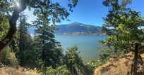 view from the patio