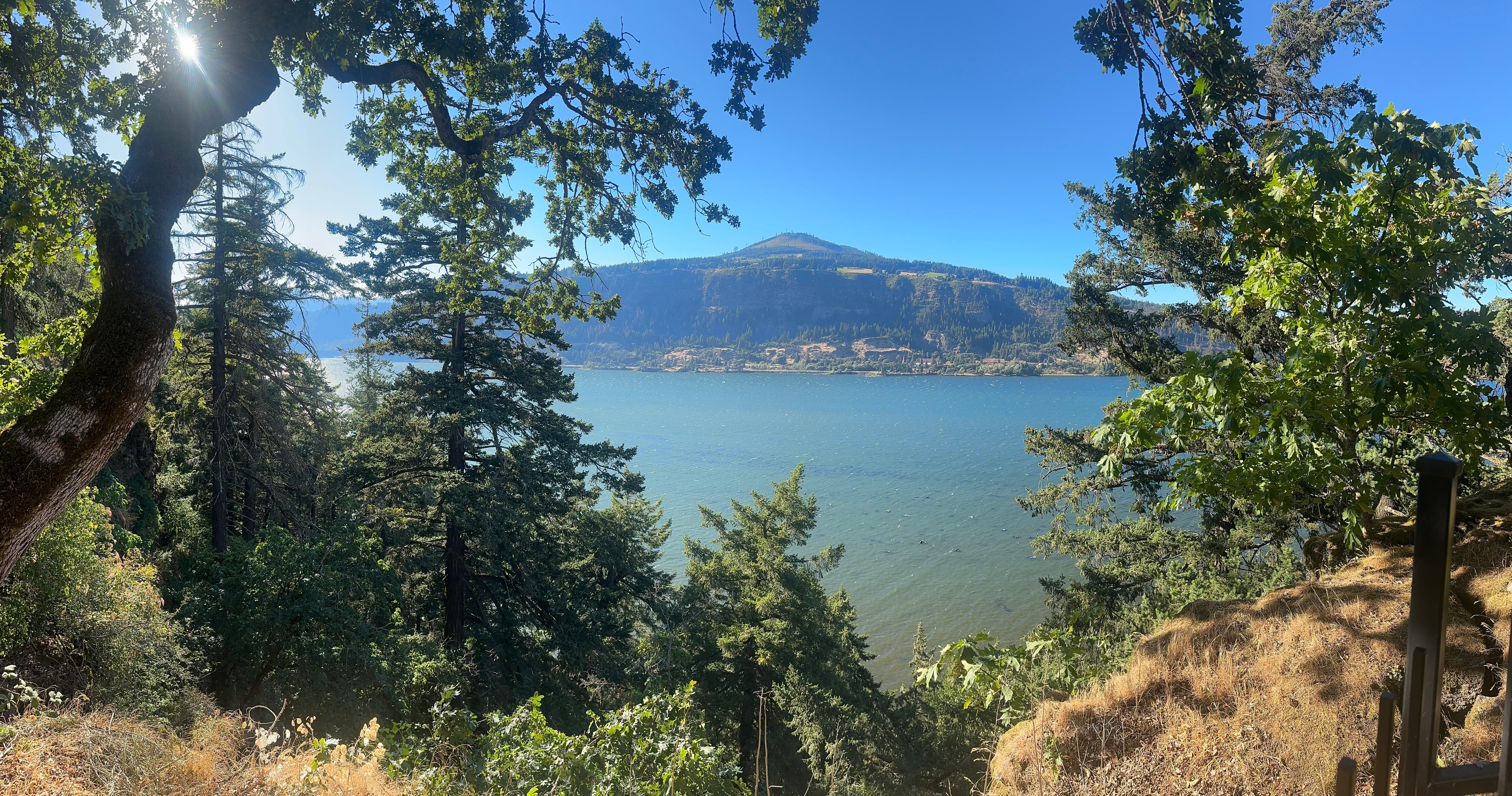 view from the patio 