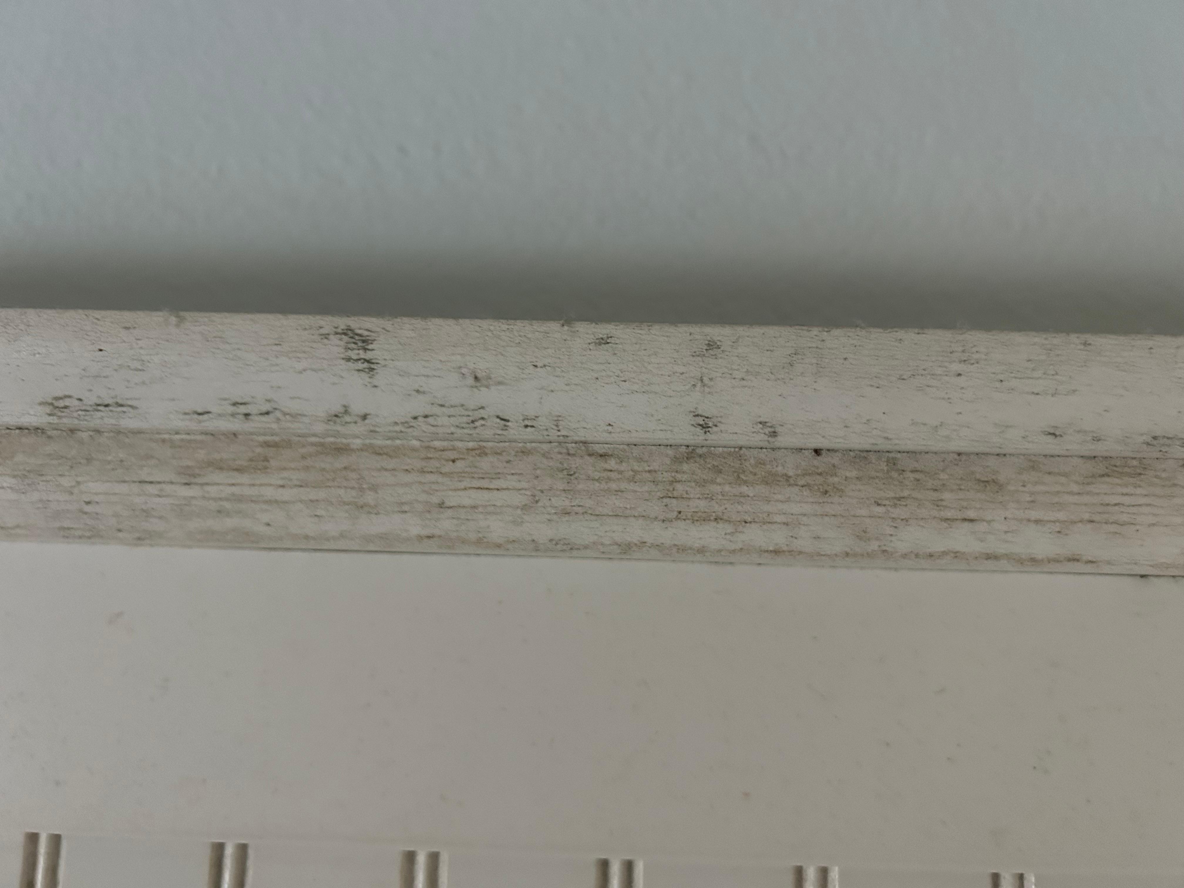 Zoom in to see. Yuk! 