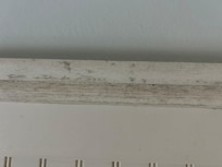 Zoom in to see. Yuk!