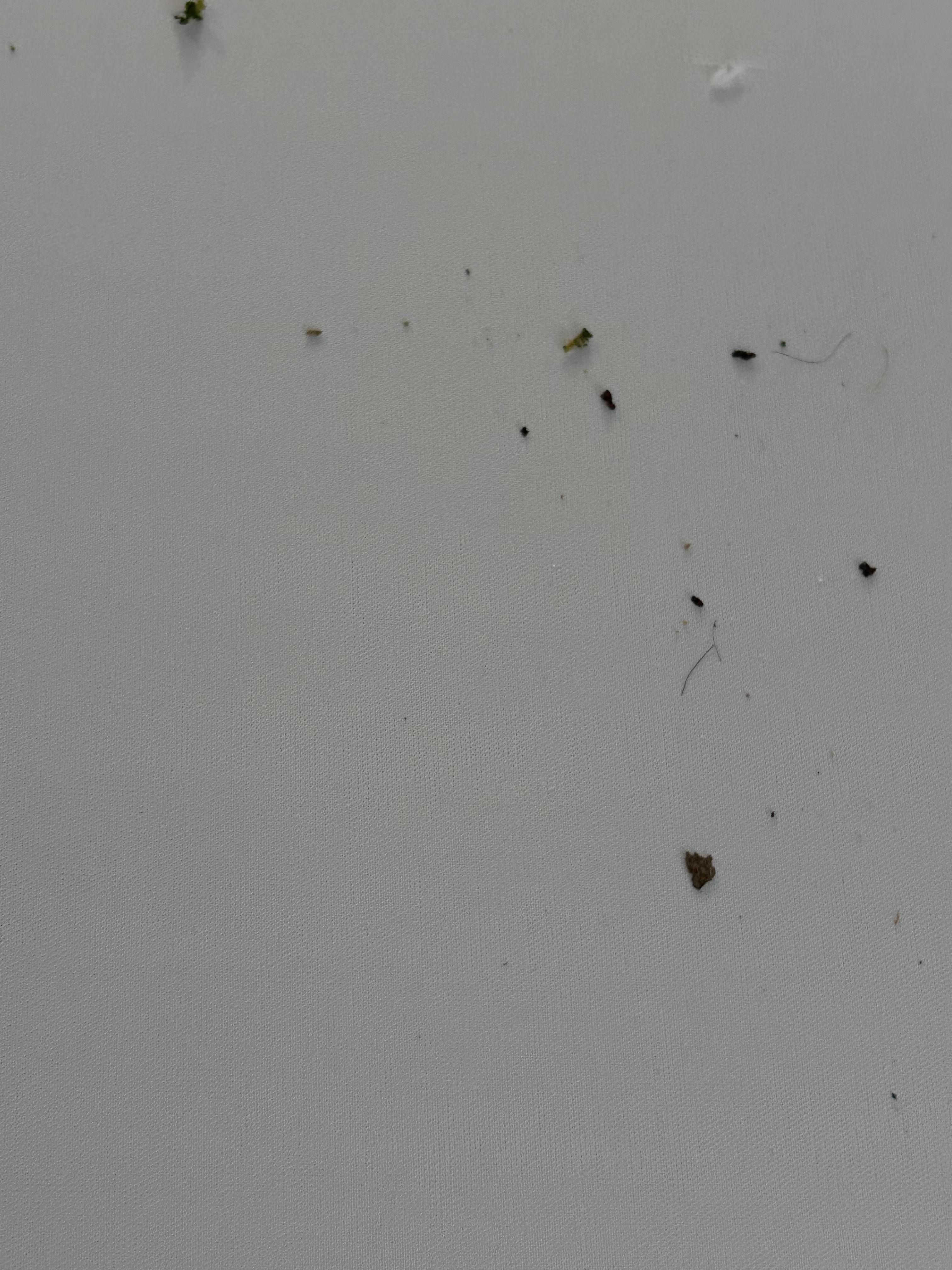 Just dirty and nasty. 