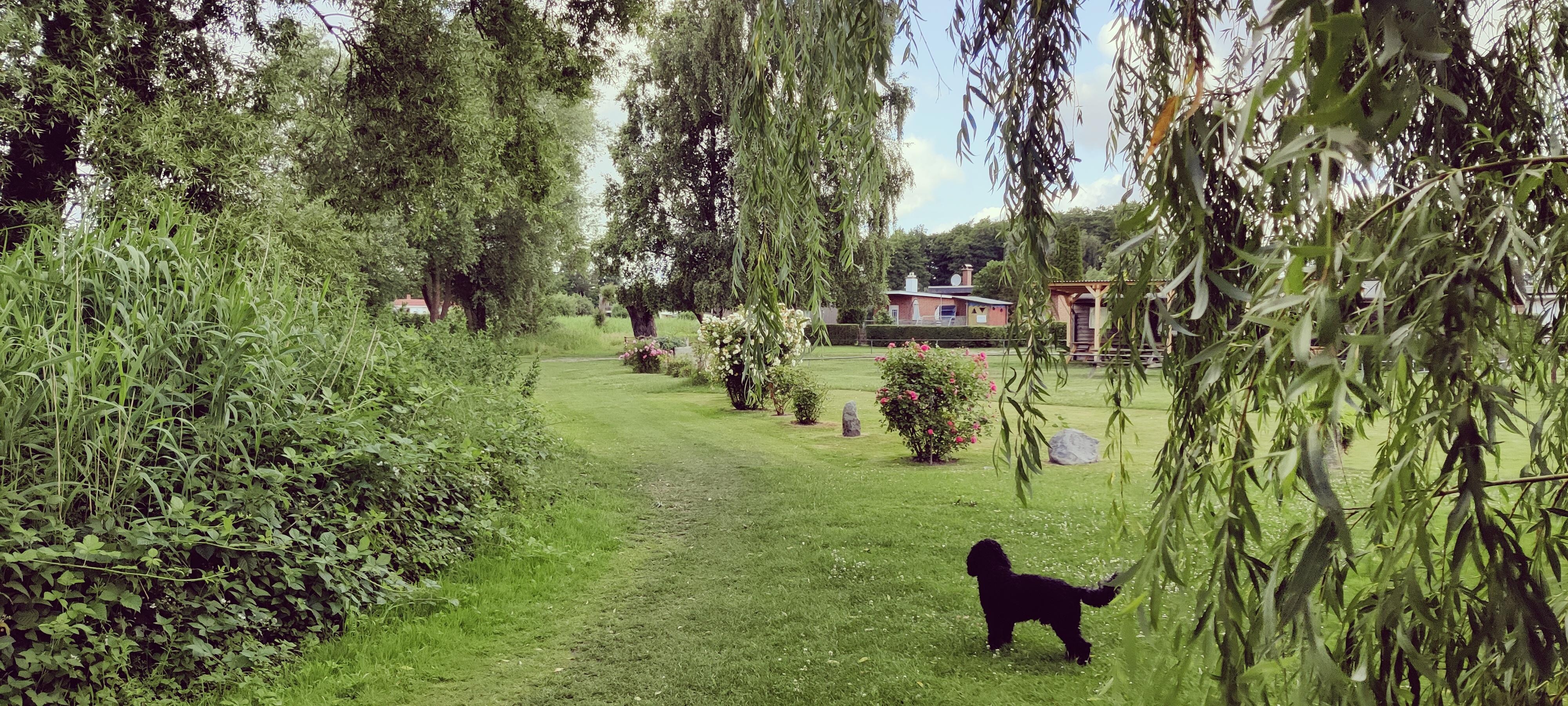 unmittelbare Umgebung 