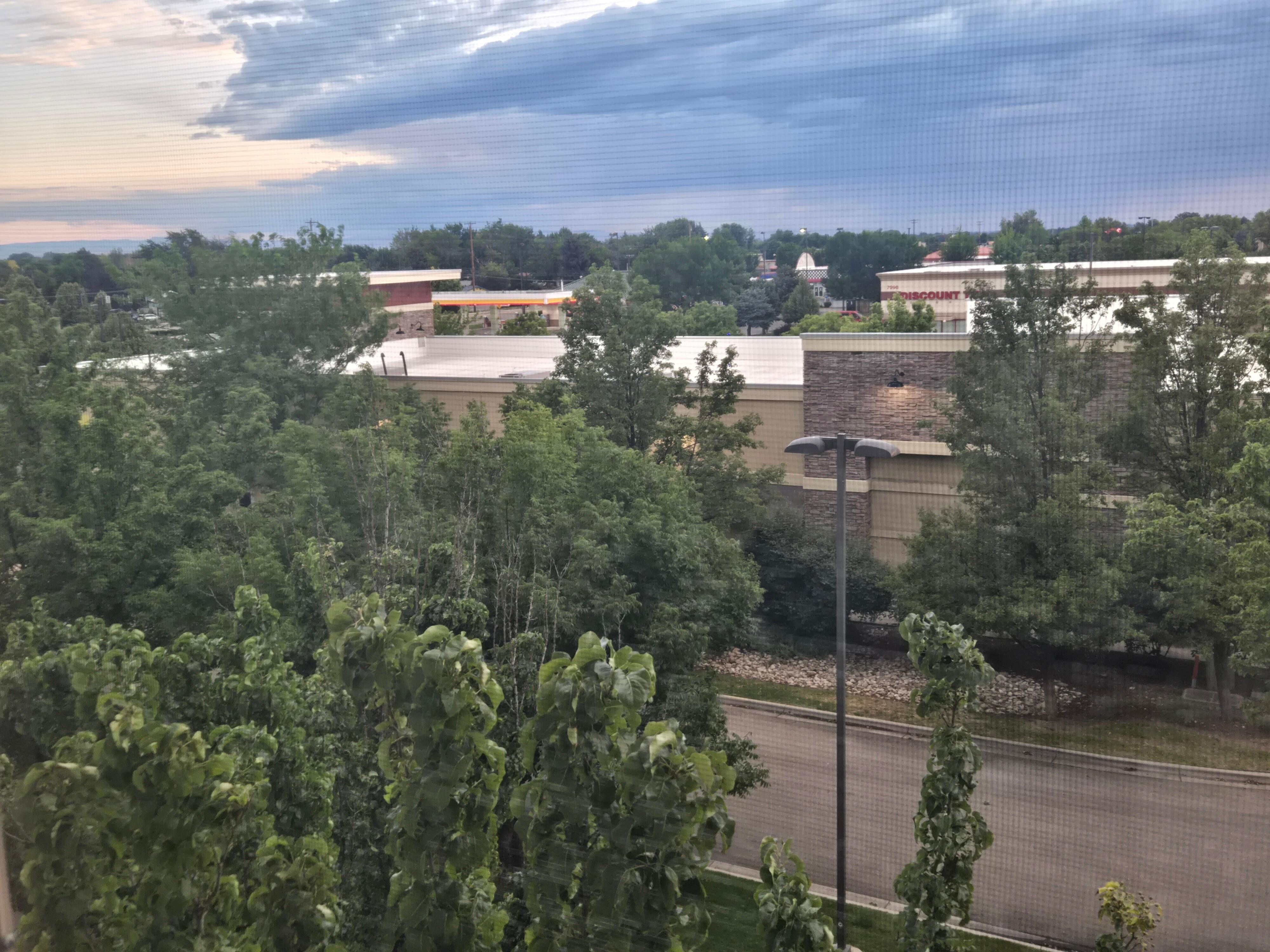 View from Room 411