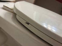 Feces on toilet upon check in ( not ours)