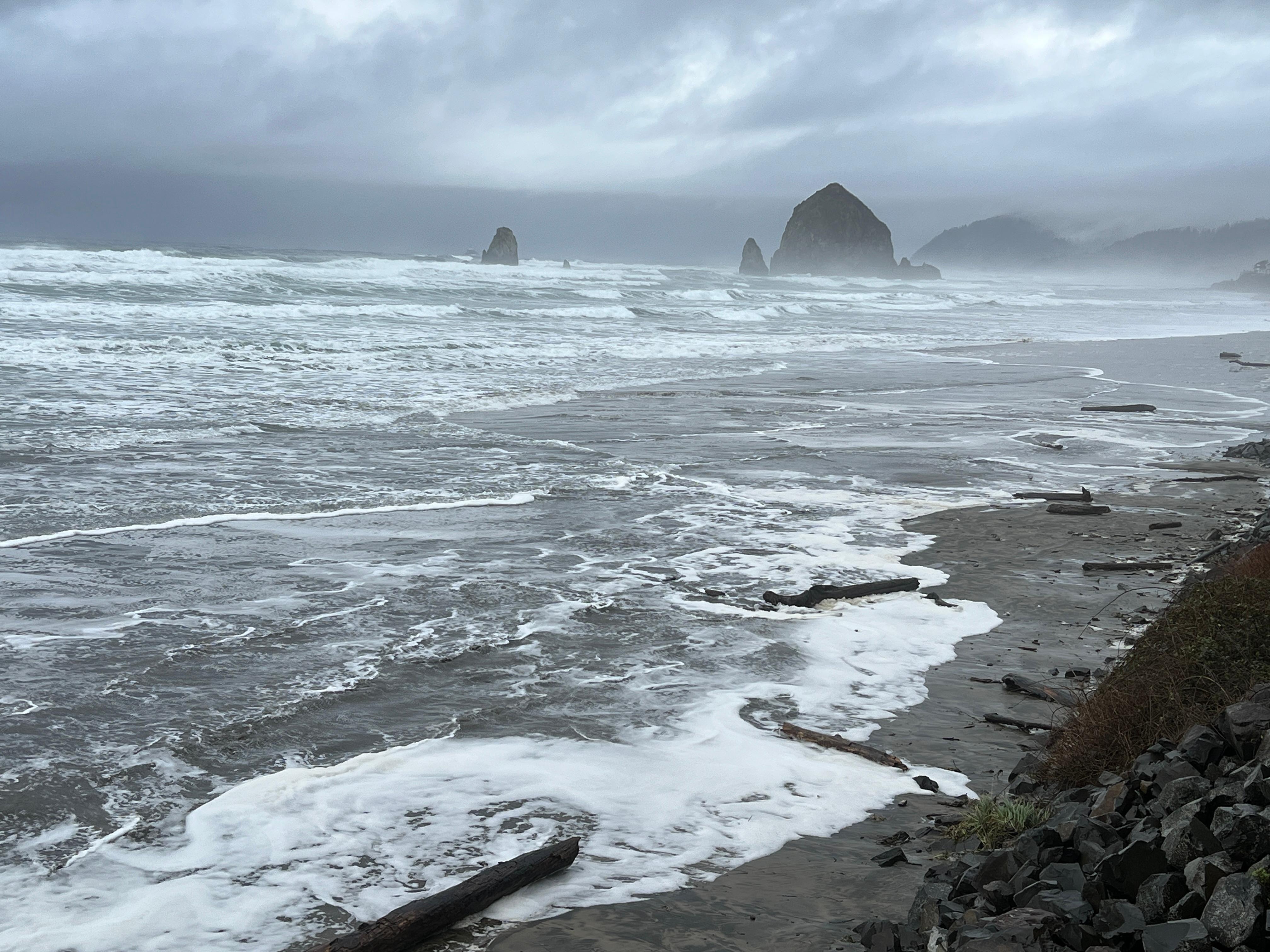 View North - December 2025