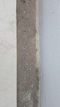 A drain ditch running the length of my bulcony, with hair and a toenail