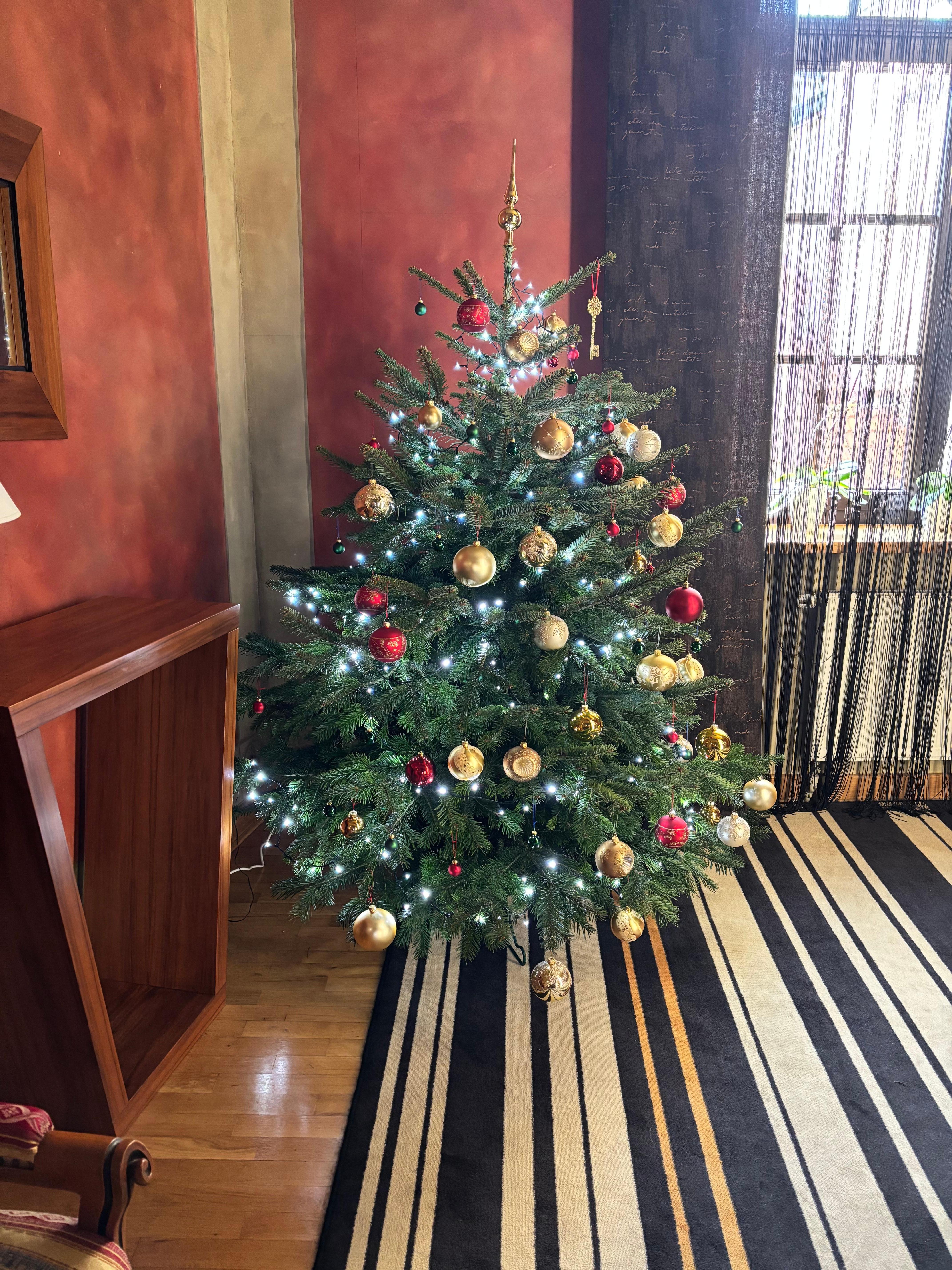 A live tree upstairs 