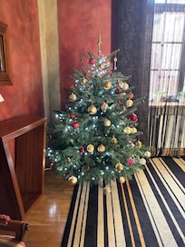 A live tree upstairs