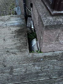 Discarded bbq trays beside front entrance
