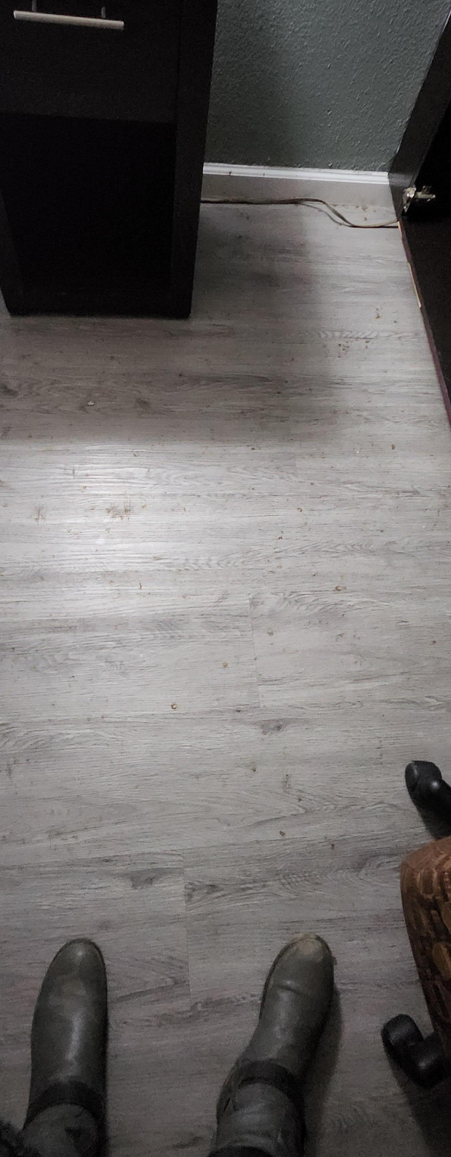 Trash and dirt by the fridge