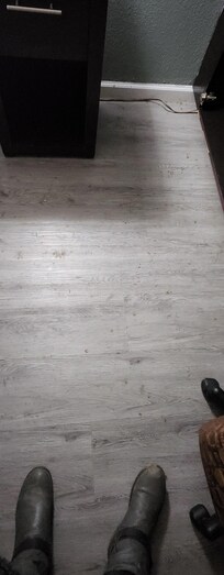 Trash and dirt by the fridge