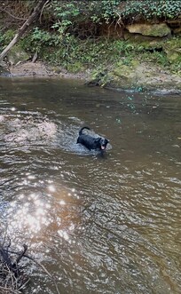Yahoola Creek