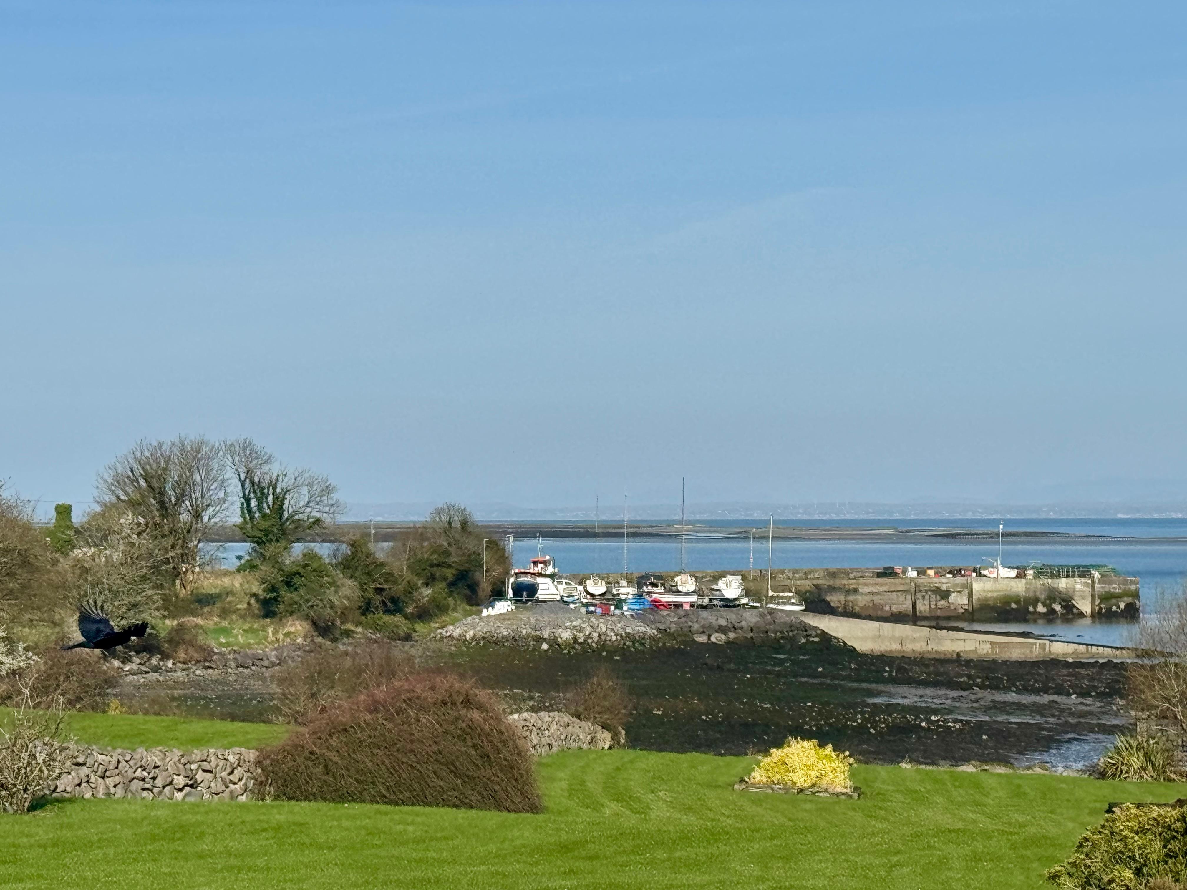 View looking out the back window. 