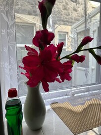 Felt very peaceful as soon arriving.