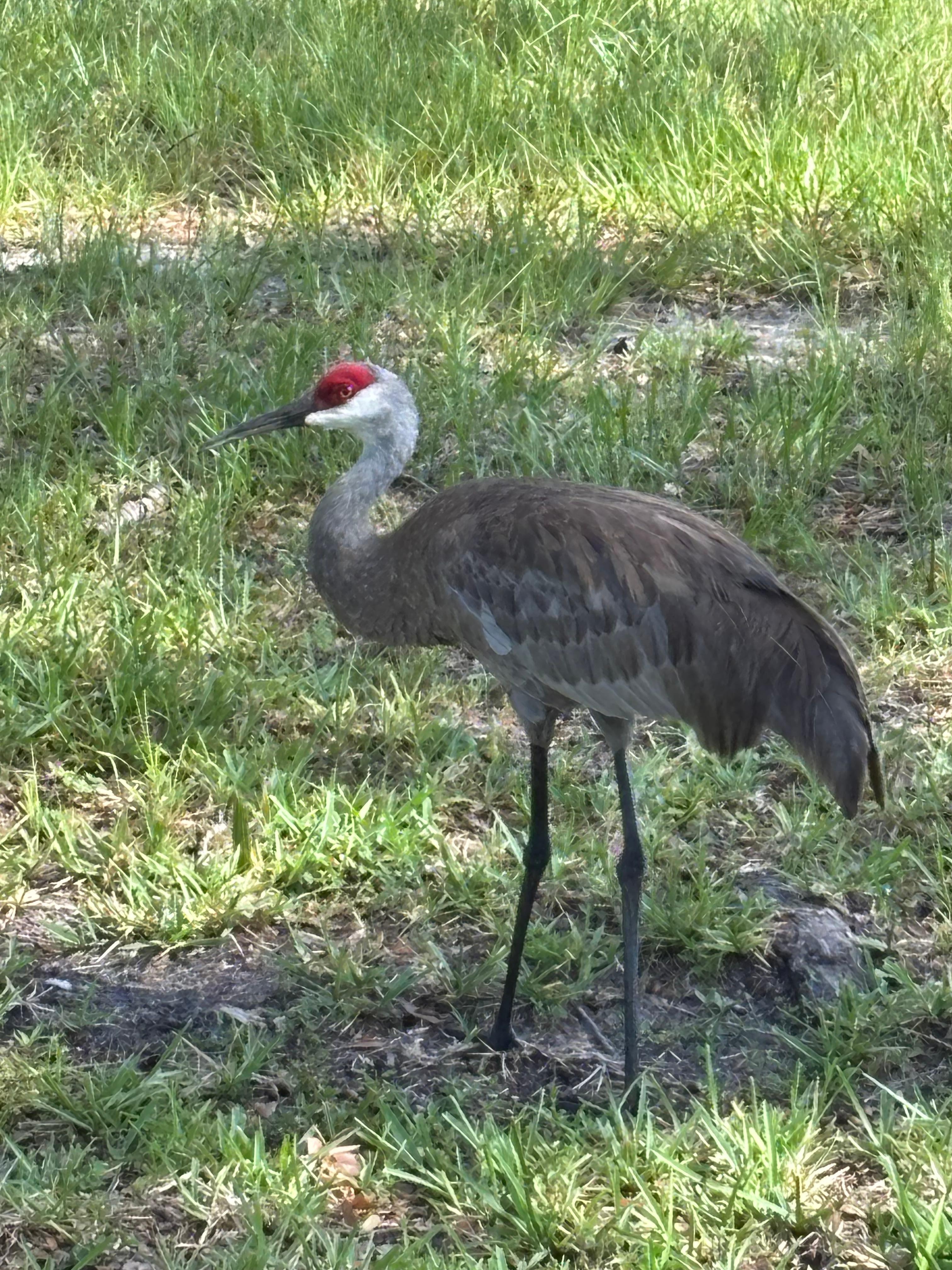 This was taken near the parking lot.