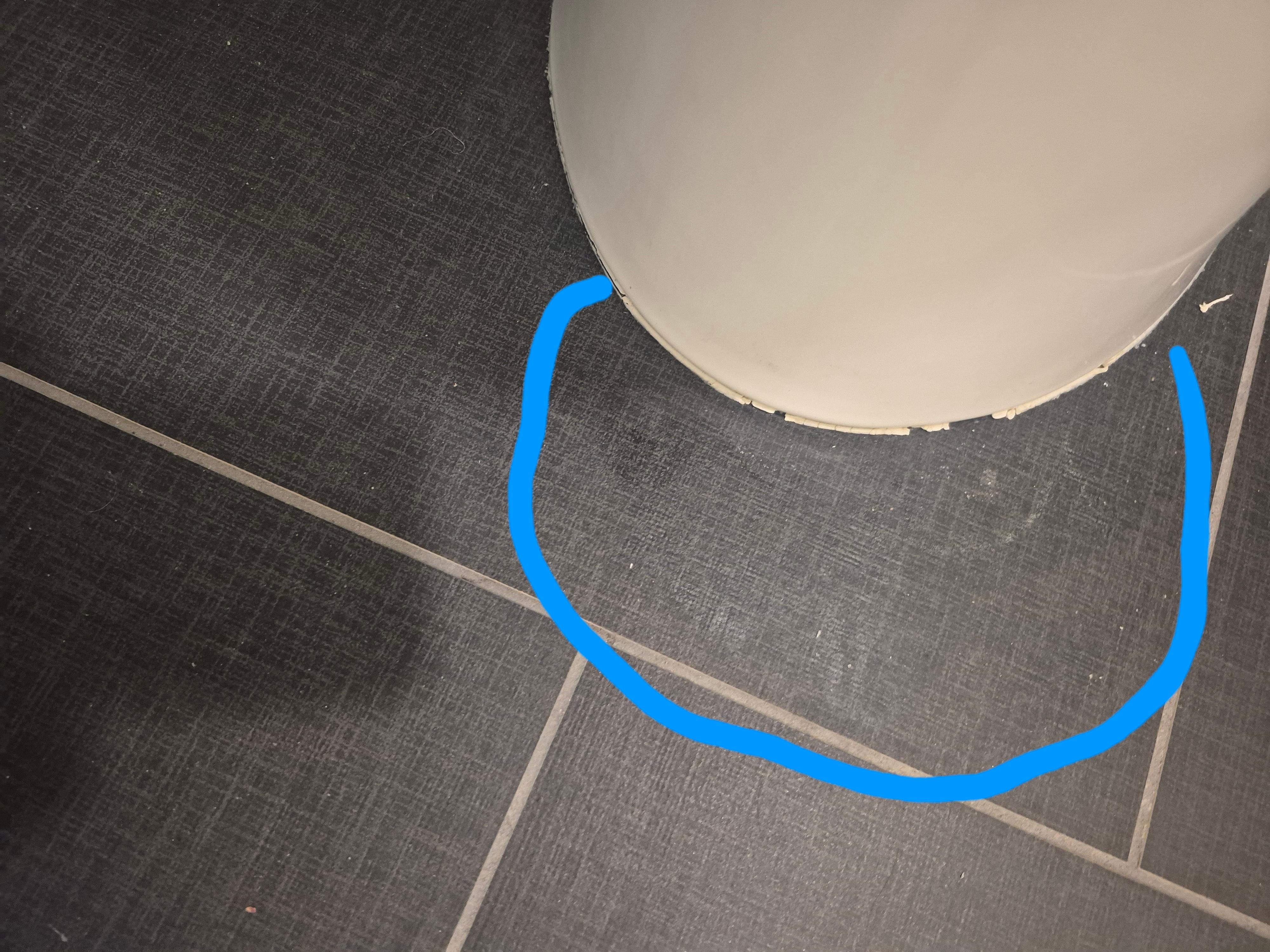 Look closely for the white edge showing where the water sat until it dried up 