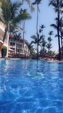 The pool