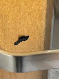 Black goo near door handle.