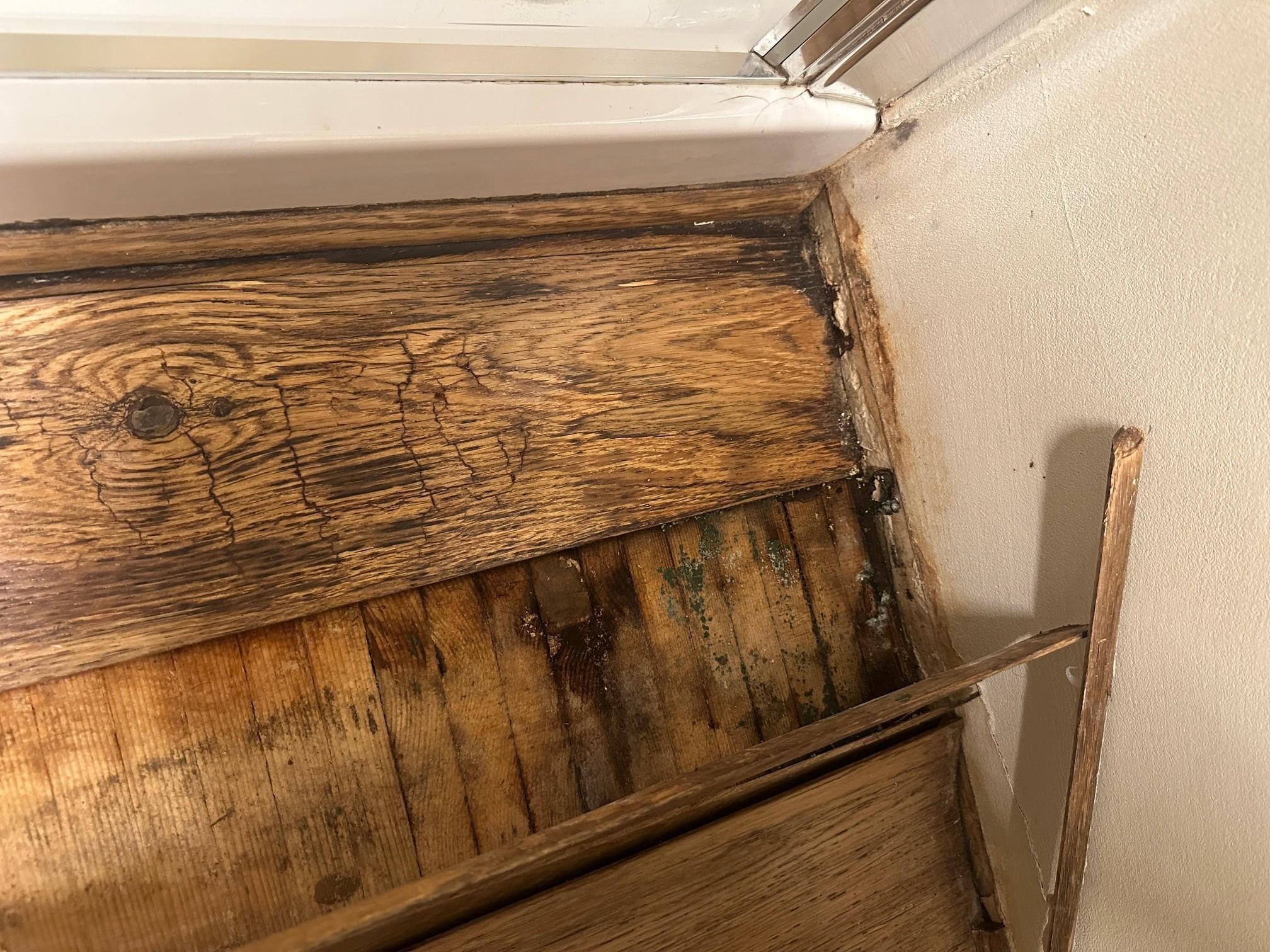 Rotten, moldy, warped and loose wood outside of the shower.