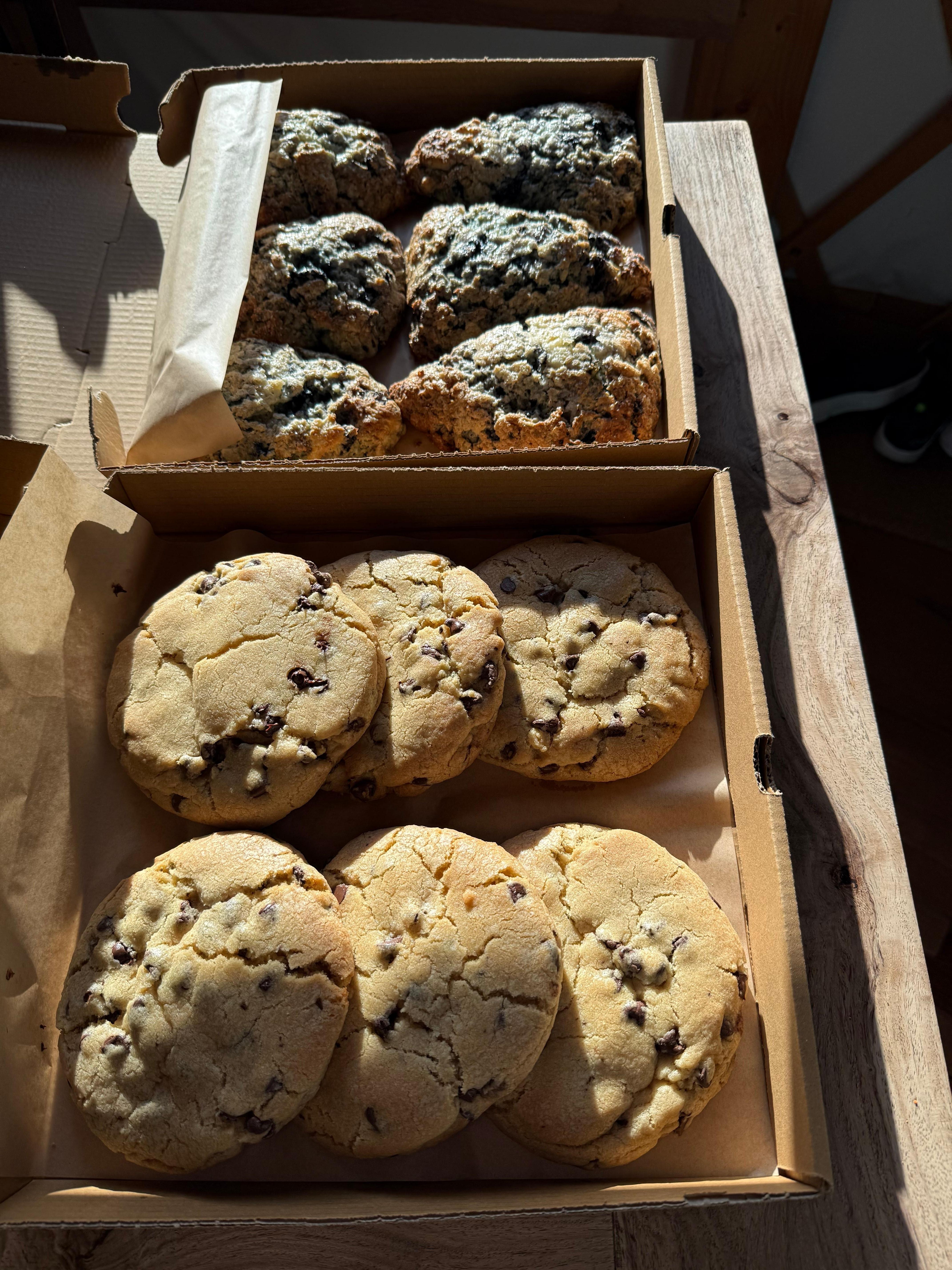 Chocolate Cookies and Blueberry Scones delivered to the yurt still warm!