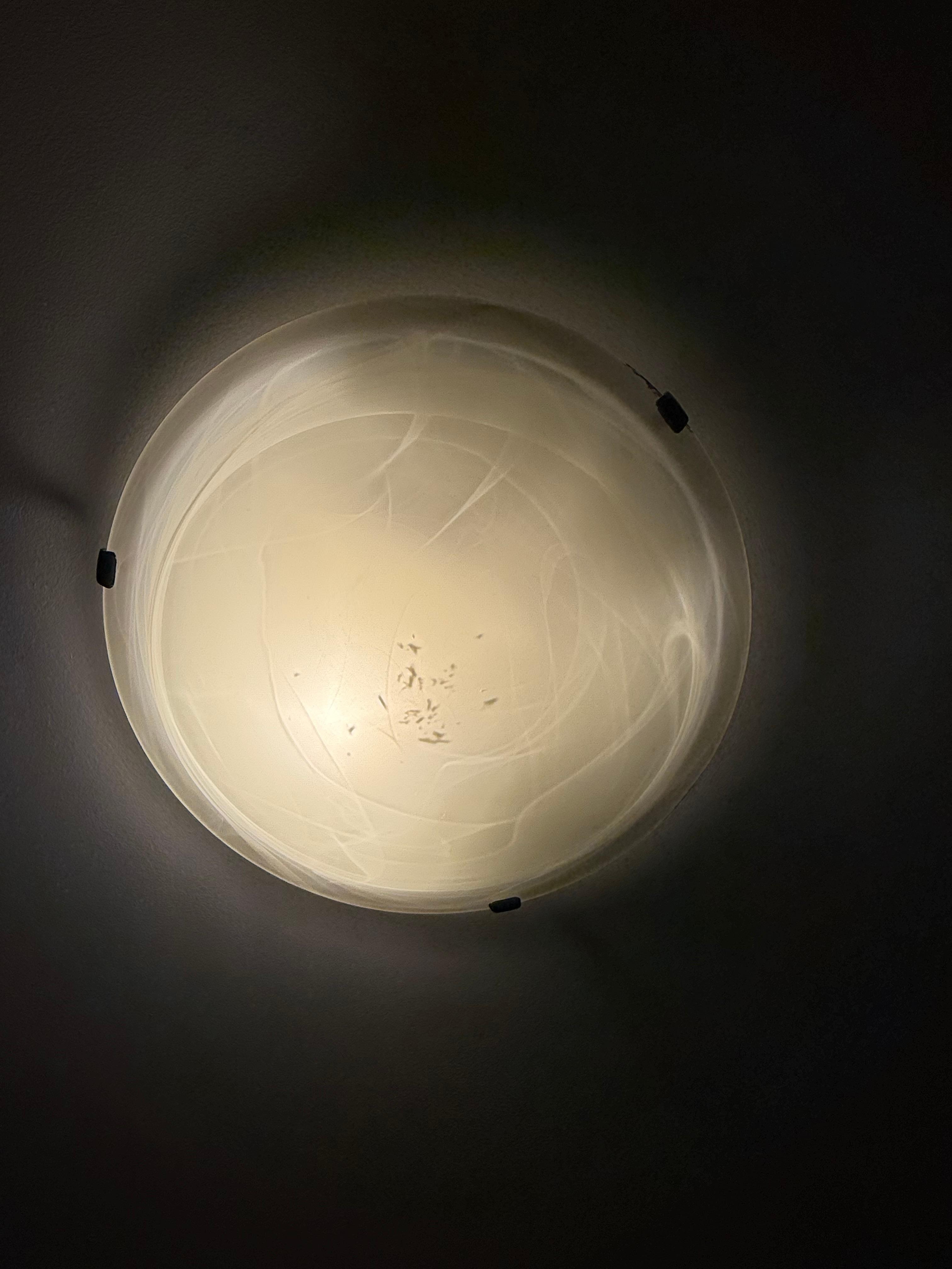 Dead bugs in the light fixtures 