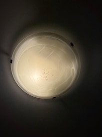 Dead bugs in the light fixtures