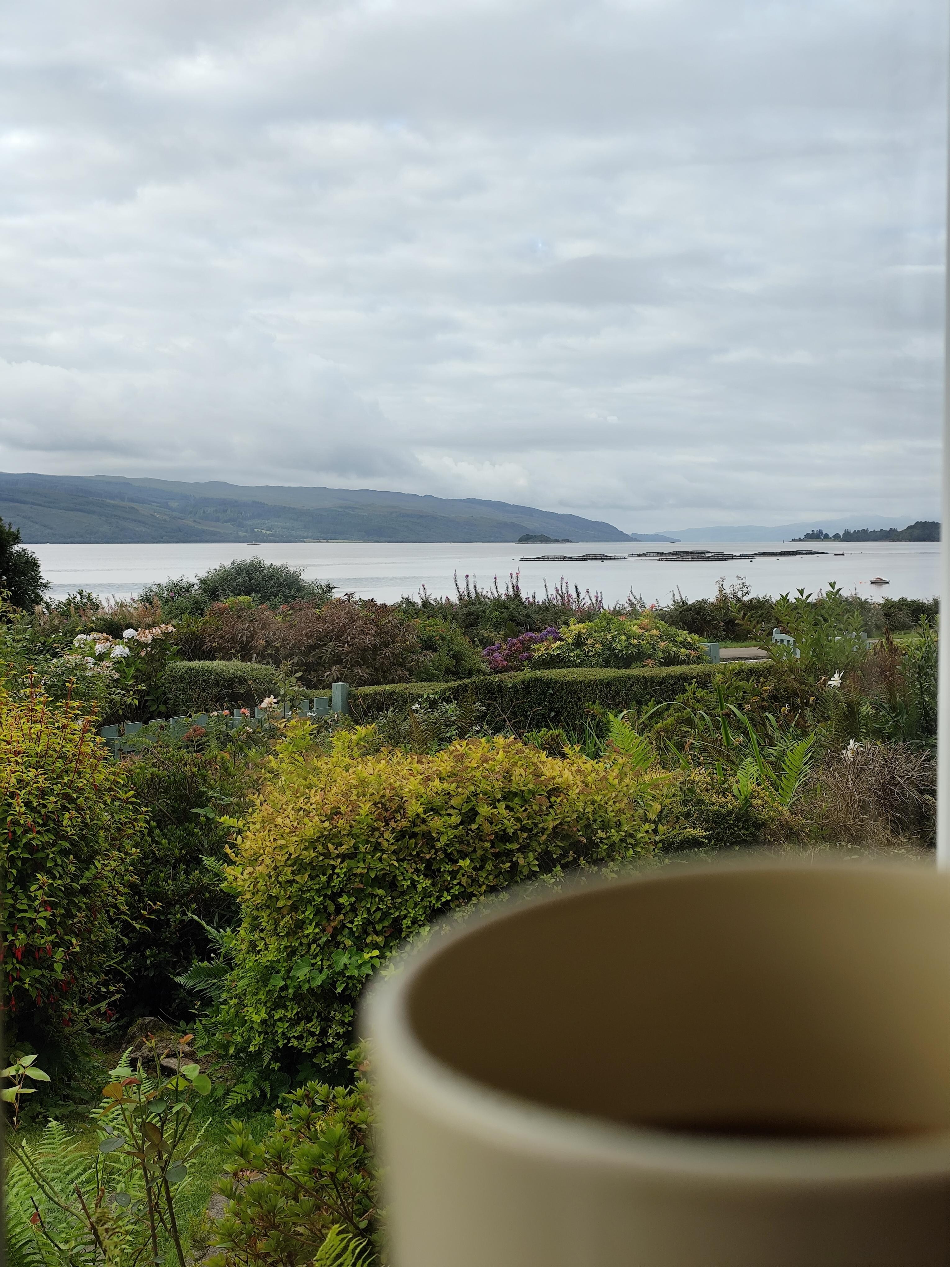 View from the lounge 