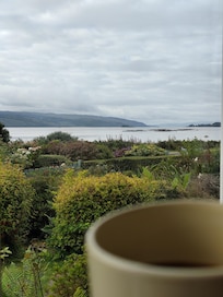 View from the lounge