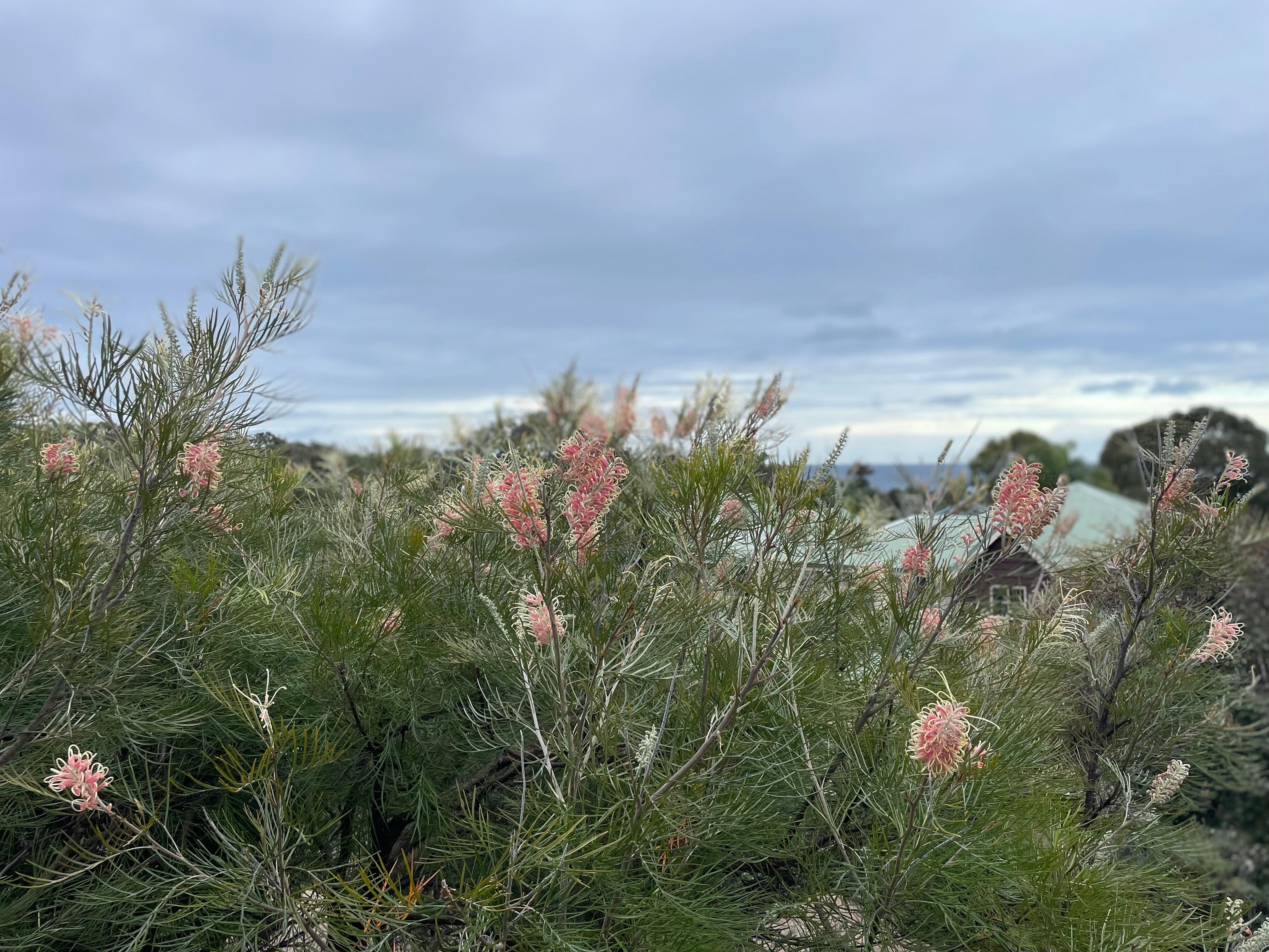 Views from upstairs balcony