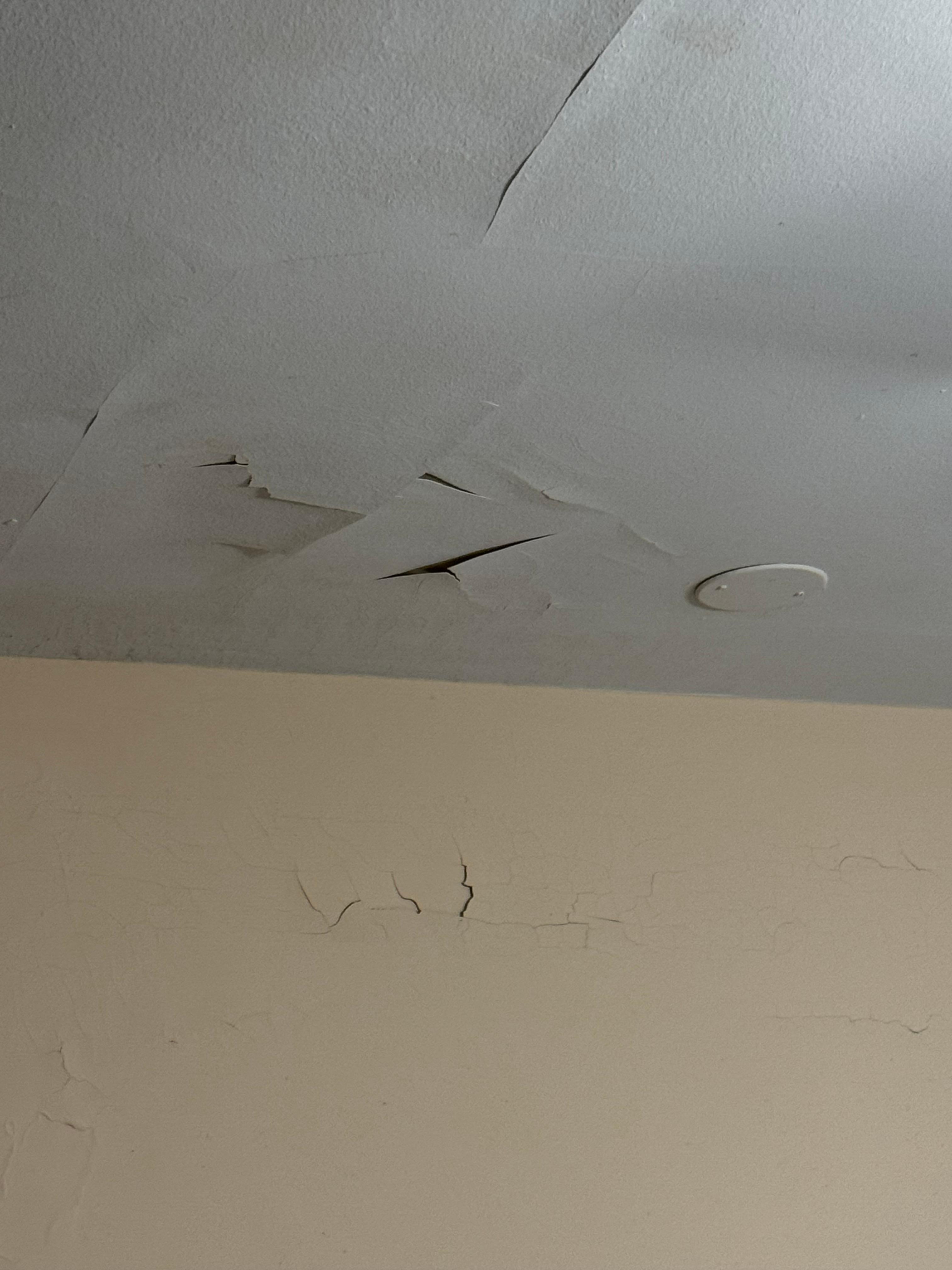 I mean did we actually pay for this room?