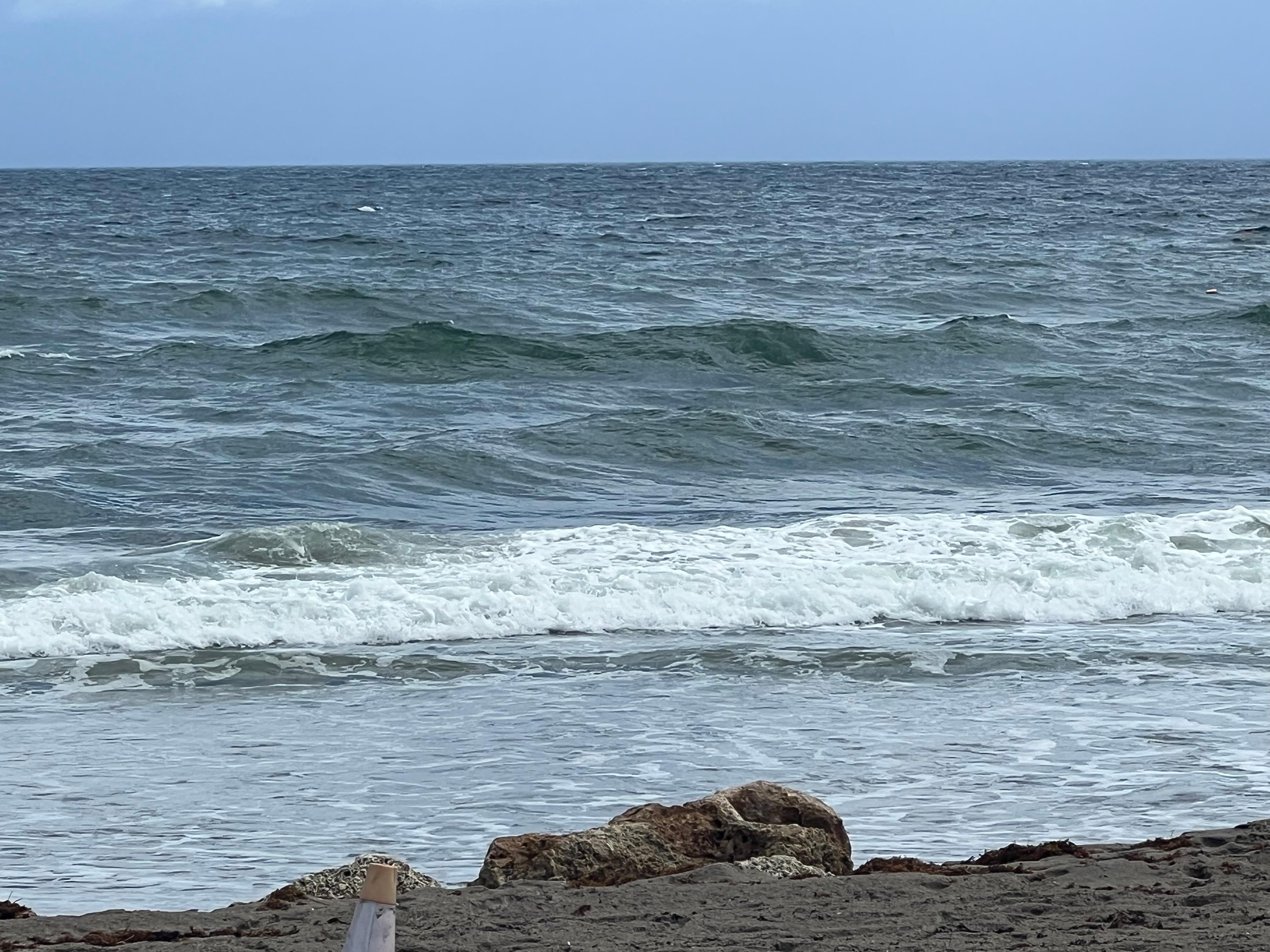 Ocean Purple Flagged for Jelly Fish & Yellow Flagged for Rip Tides