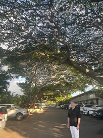 Even the parking lot was pretty.
