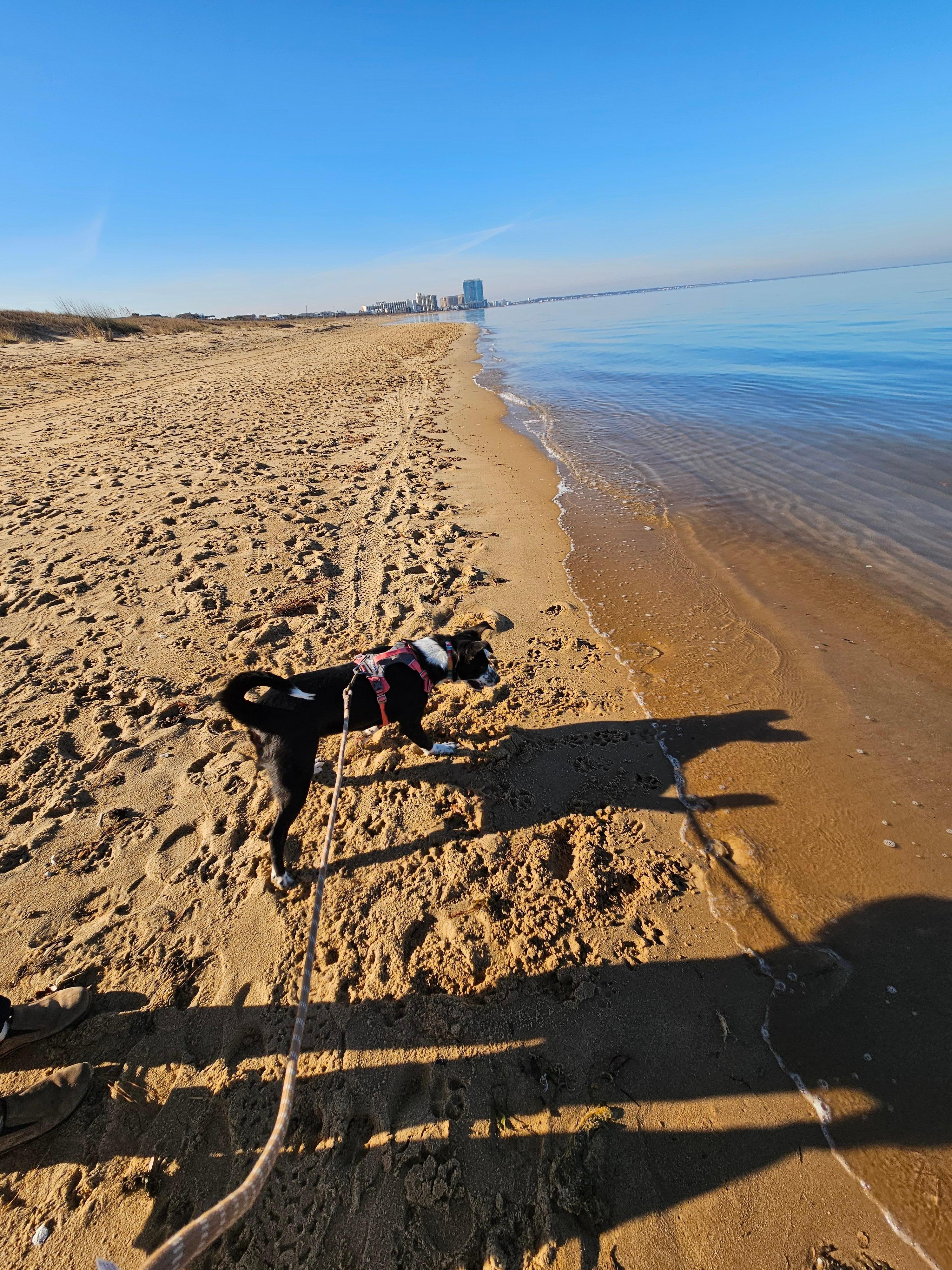 First Landing State Park